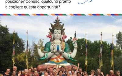 Lavora con noi – Coordinatore Nazionale FPMT Italia