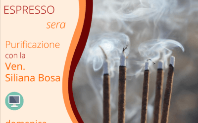 Meditazione espresso della sera – con la Ven. Siliana